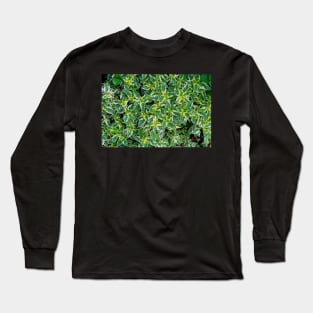 Coleus Plant Leaves Long Sleeve T-Shirt